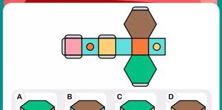 Test del QI, a quale figura geometrica corrisponde l'immagine?